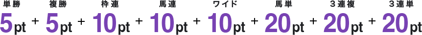 単勝 5pt + 複勝 5pt + 枠連 10pt + 馬連 10pt + ワイド 10pt + 馬単 20pt + 3連複 20pt + 3連単 20pt