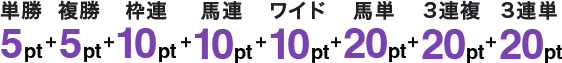 単勝 5pt + 複勝 5pt + 枠連 10pt + 馬連 10pt + ワイド 10pt + 馬単 20pt + 3連複 20pt + 3連単 20pt