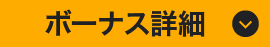 ボーナス詳細