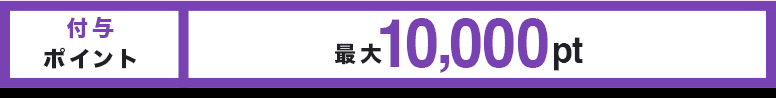 付与ポイント 最大10,000pt