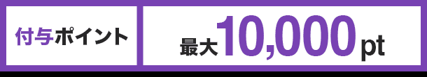 付与ポイント 最大10,000pt