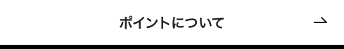 ポイントについて